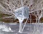 Treehouse Swing